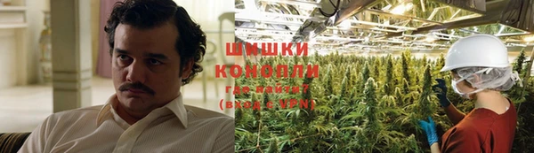mdpv Белокуриха