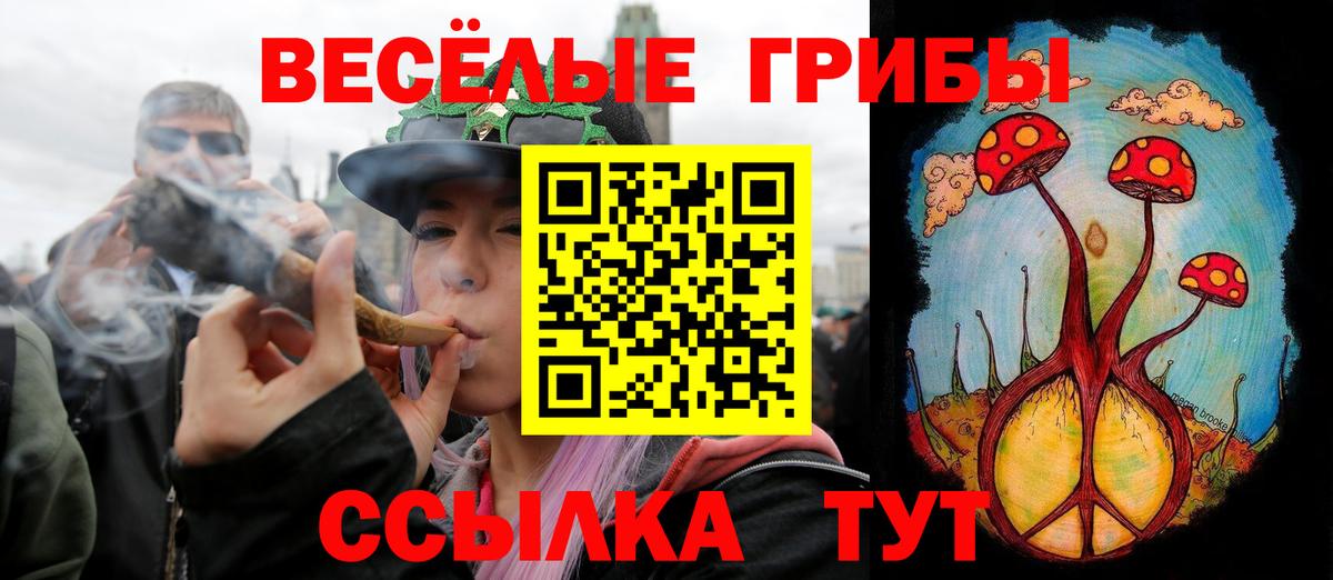 Бутурлиновка  Псилоцибиновые грибы MAGIC MUSHROOMS  Вход с VPN  Псилоцибиновые грибы мухоморы 